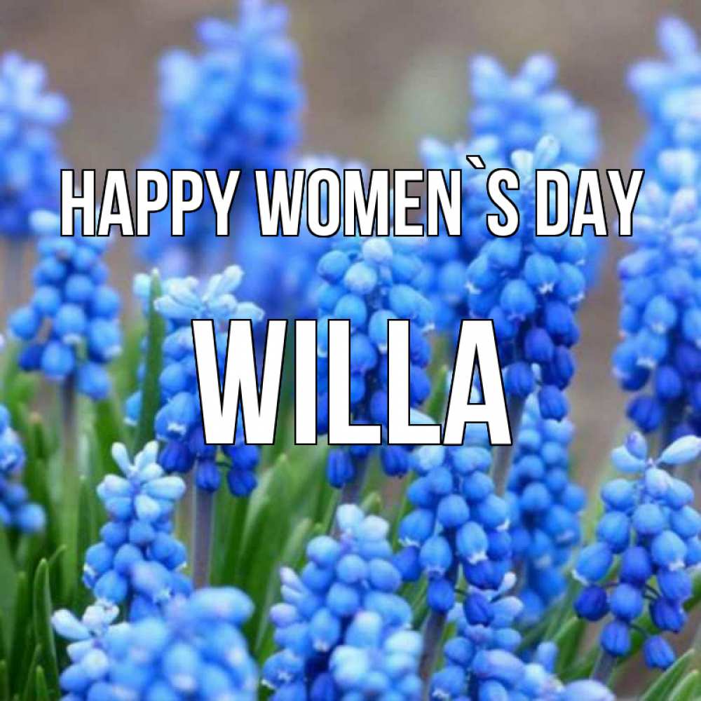 Greetings card с именем, Willa happy women`s day Поздравительная открытка для женщин с цветами на праздничную дату Greetings with text for free download 
